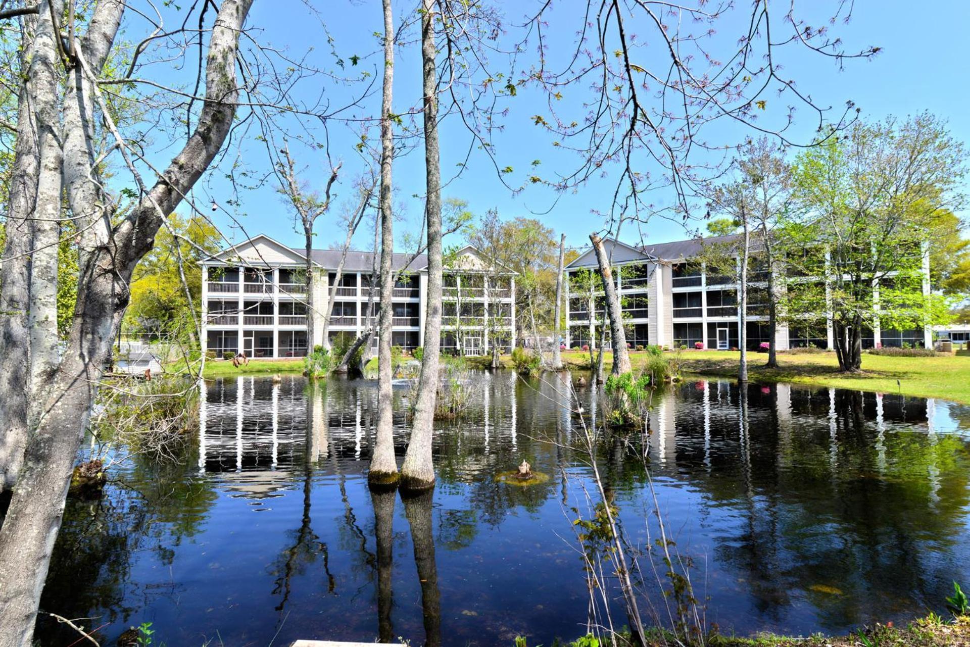 All New Luxury Beach Retreat 1 Mile To Beach W Pool Myrtle Beach Exterior photo